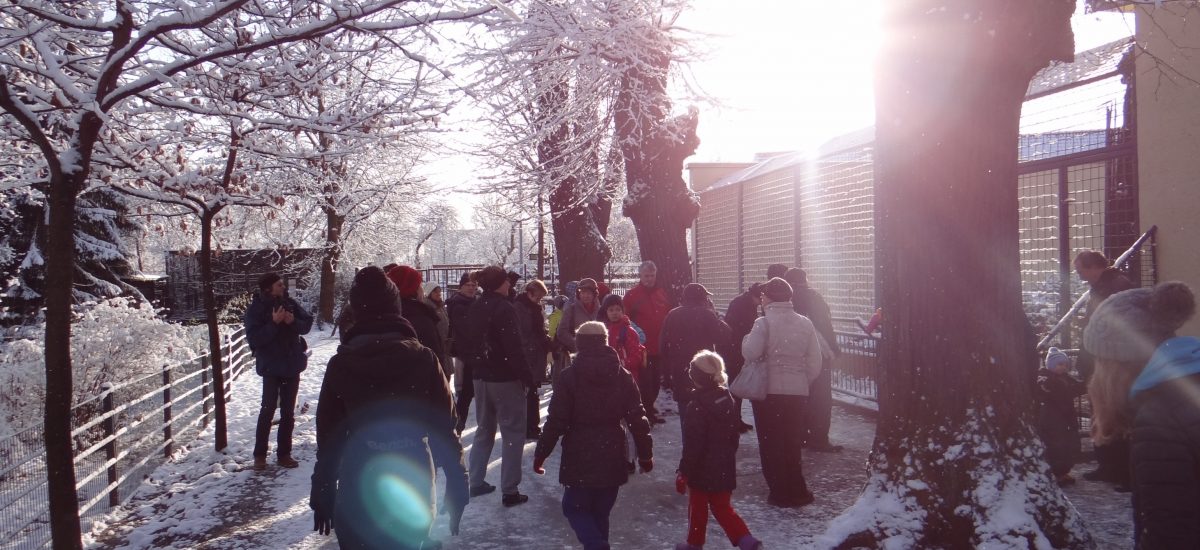 Personen laufen im Zoo Hoyerswerda bei einer Führung im Winter mit.