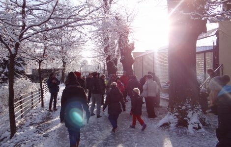 Personen laufen im Zoo Hoyerswerda bei einer Führung im Winter mit.