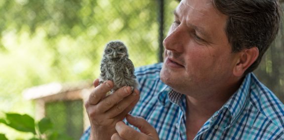 Zoologischer Leiter Eugène Bruins mit Steinkauz-Jungtier