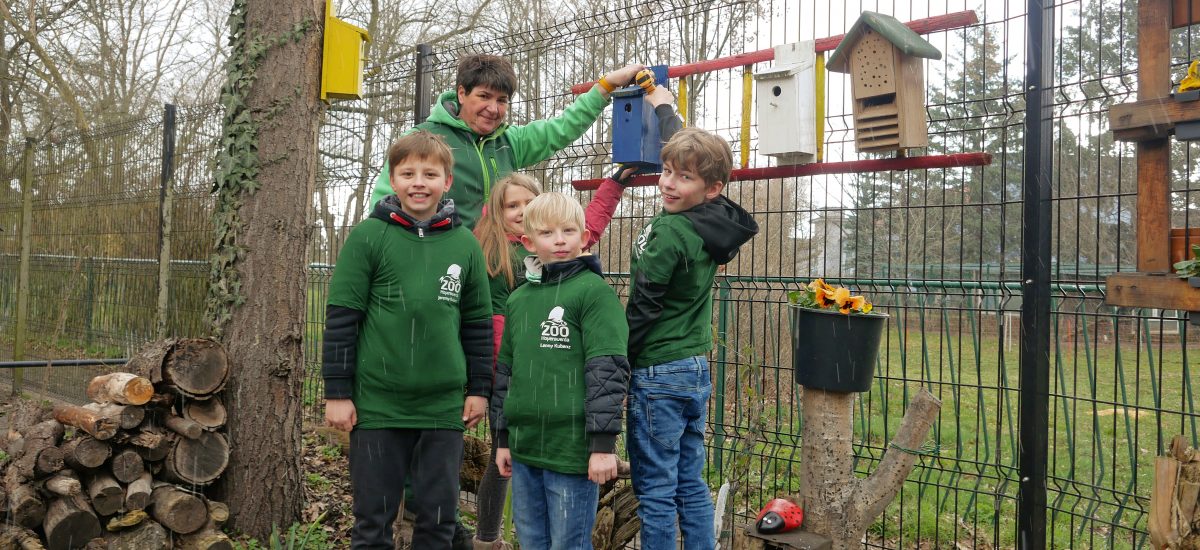 Die Kinder der Zoo-AG bauen gemeinsam mit der Zooschulpädagogin Nistkästen.