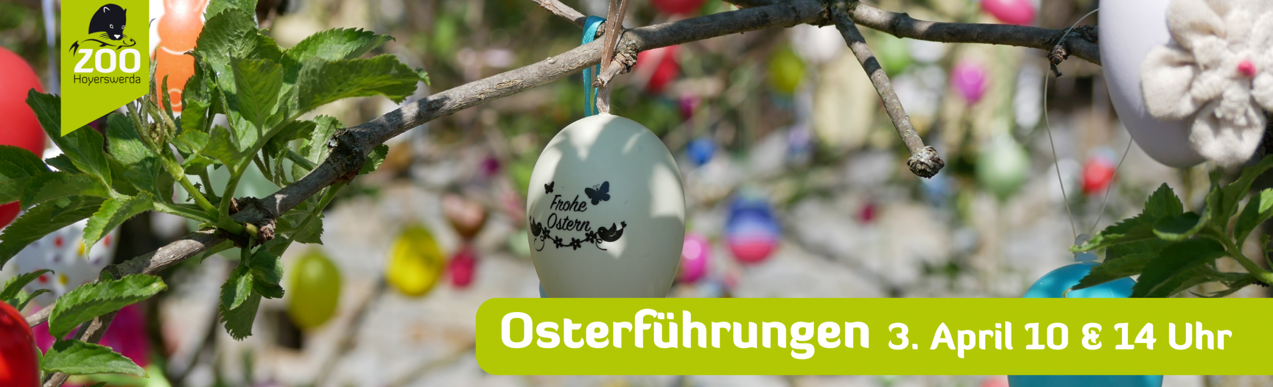 Das Bild zeigt eine Veranstaltungswerbung für die Osterführungen im Zoo Hoyerswerda.